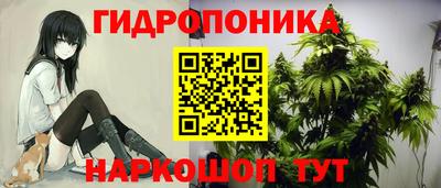 мдпв Кандалакша