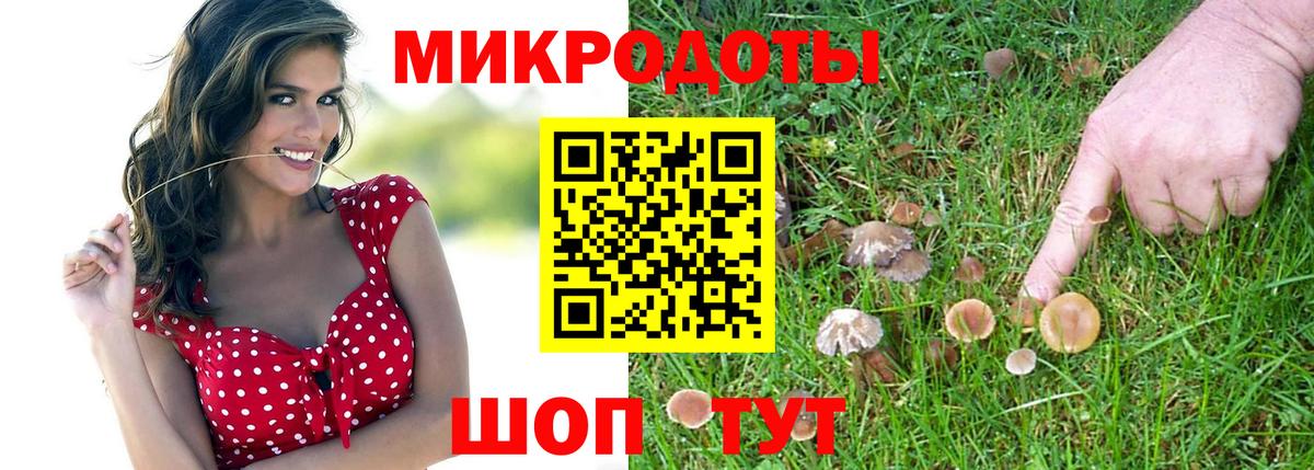 Галлюциногенные грибы мицелий  Вход с VPN  Великий Устюг 